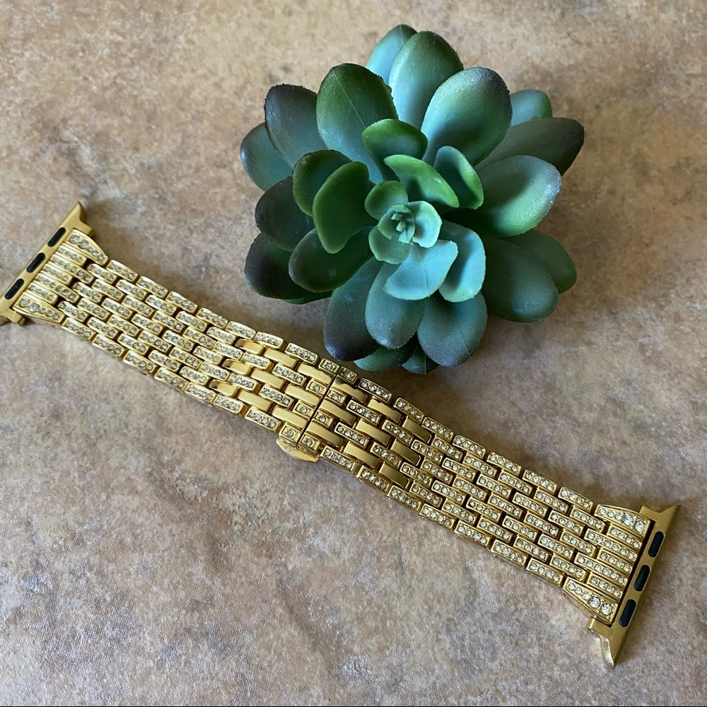 Icy Apple Watch Band